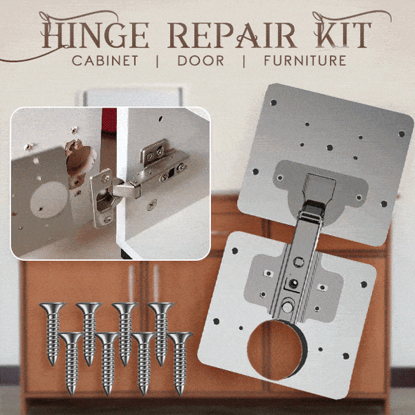 Laptory™ | Hinge Repair Kit